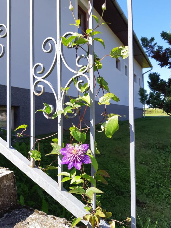 Axtburg Apartments Berbaltavar Εξωτερικό φωτογραφία