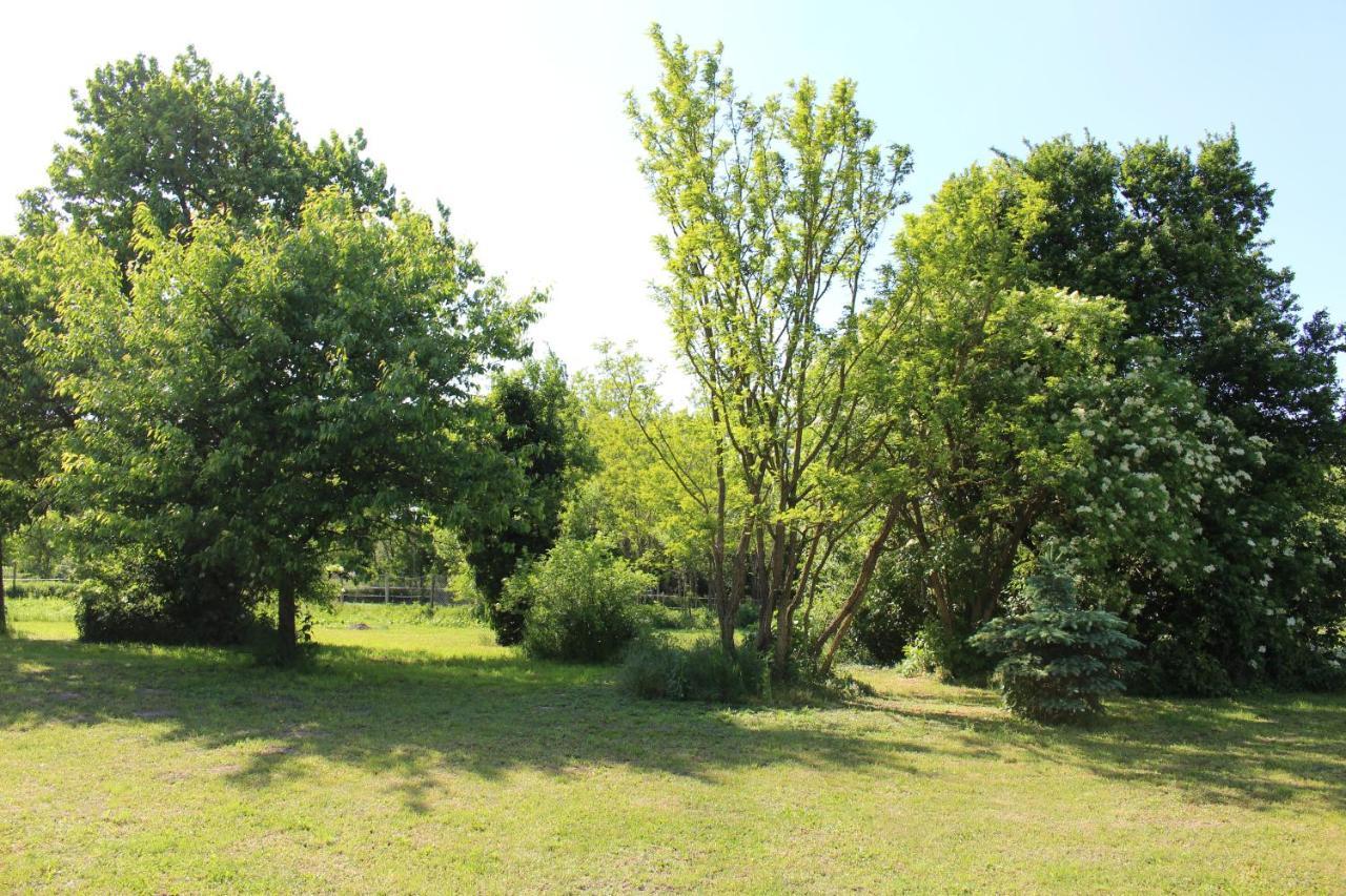 Axtburg Apartments Berbaltavar Εξωτερικό φωτογραφία